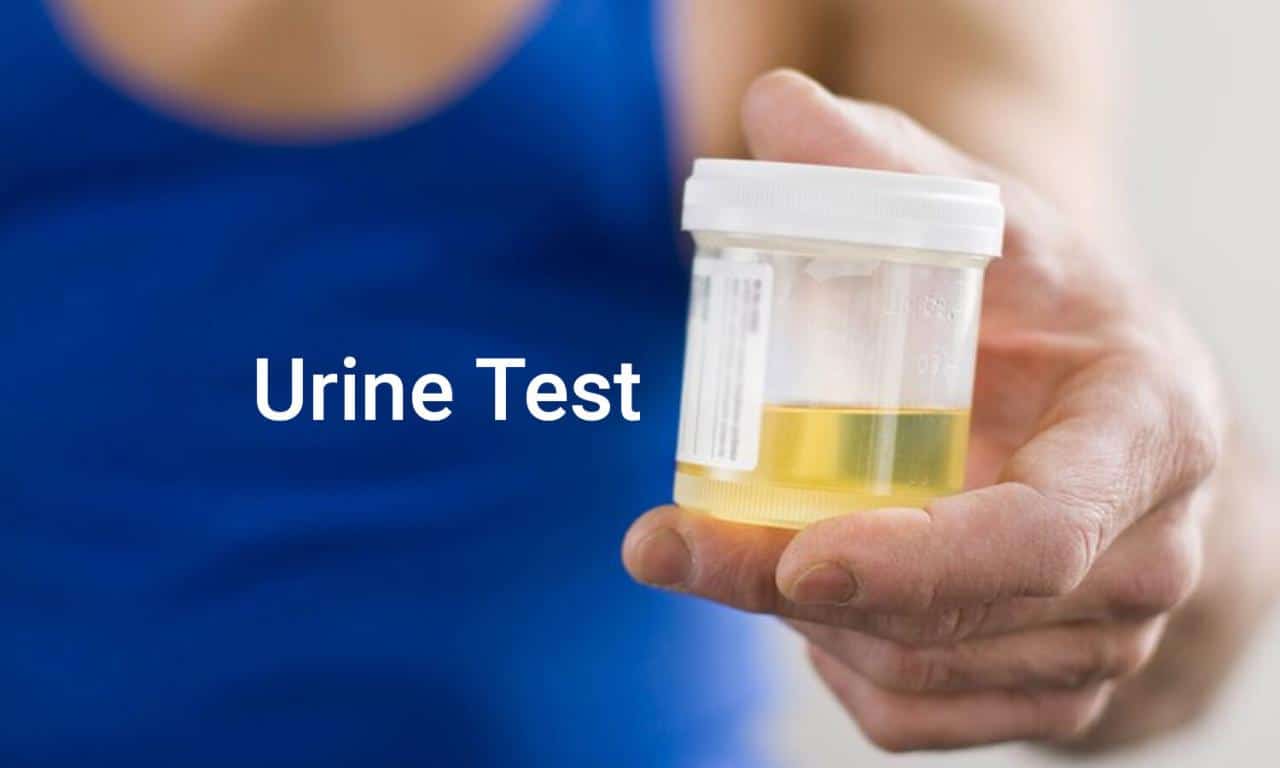 How long does marijuana stay in your system for a urine test in October 2024