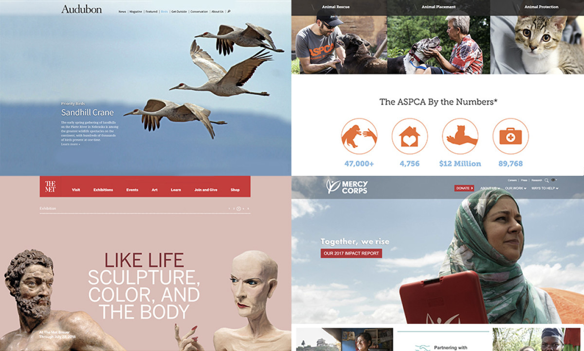Fundraising Websites 2024