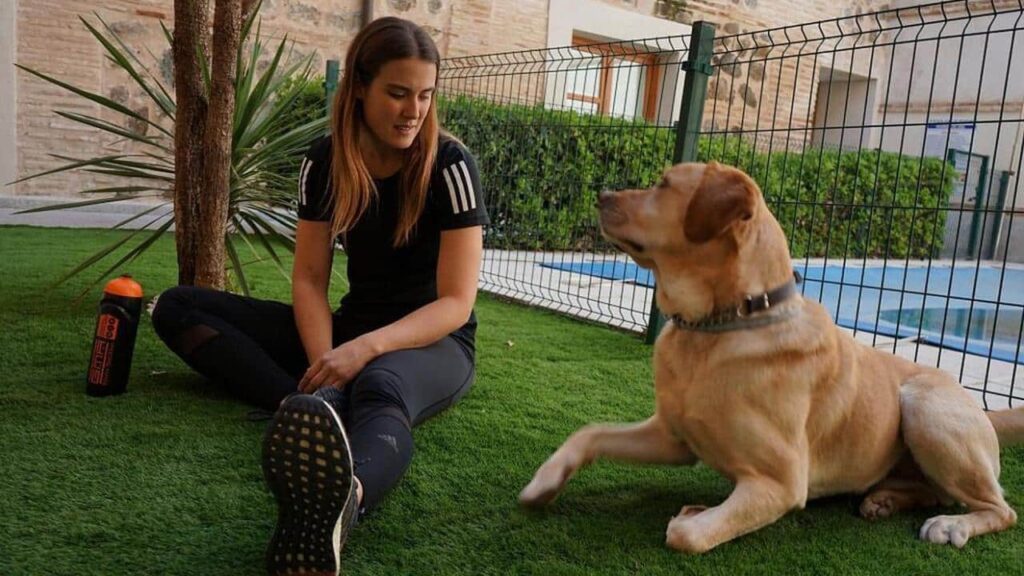 Pet Tax Deductions 2022