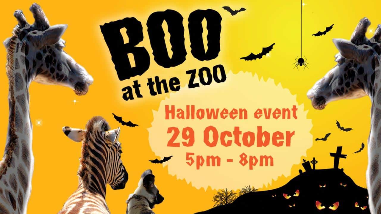 Boo At The Zoo October 2024