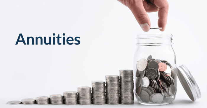 Variable Annuity Benefits 2024