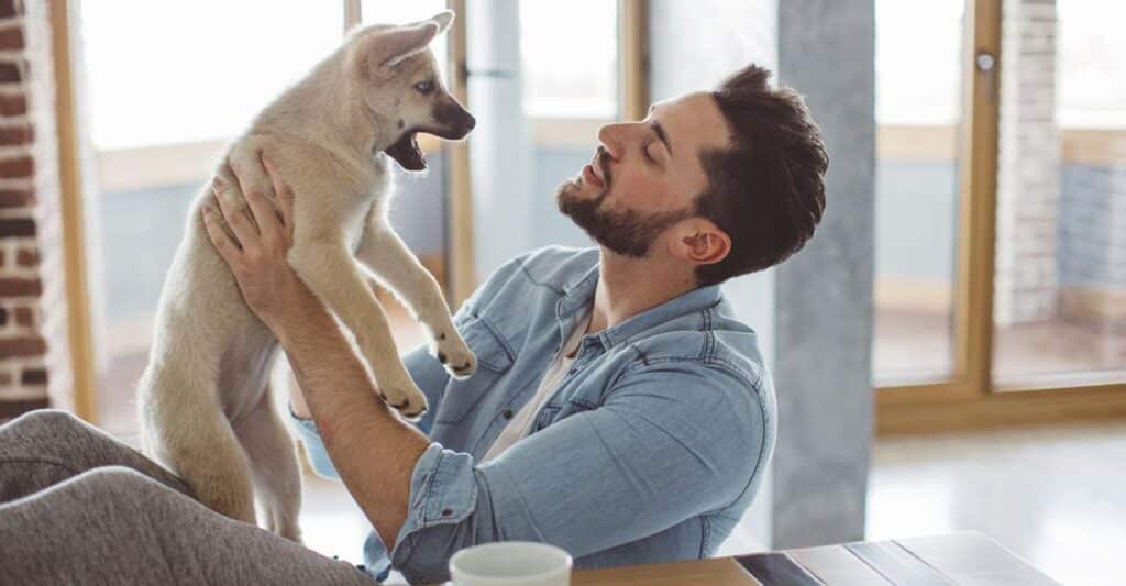 Dogsitter Near Me