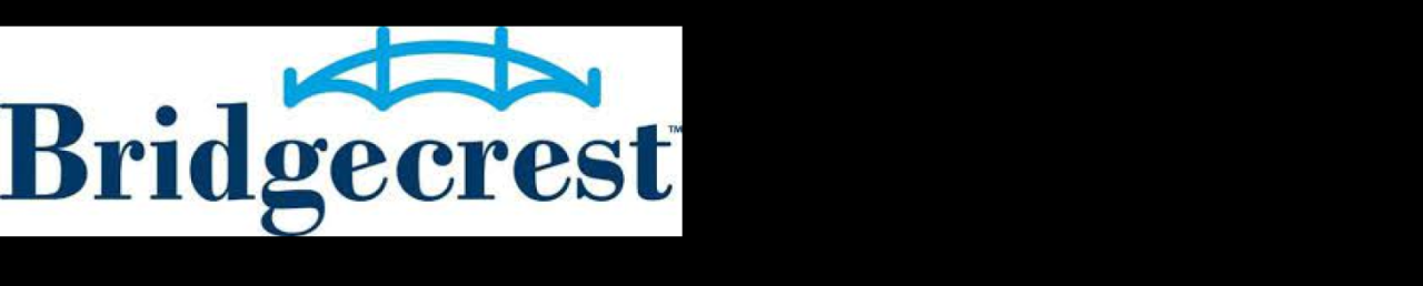 Bridgecrest Auto Loan