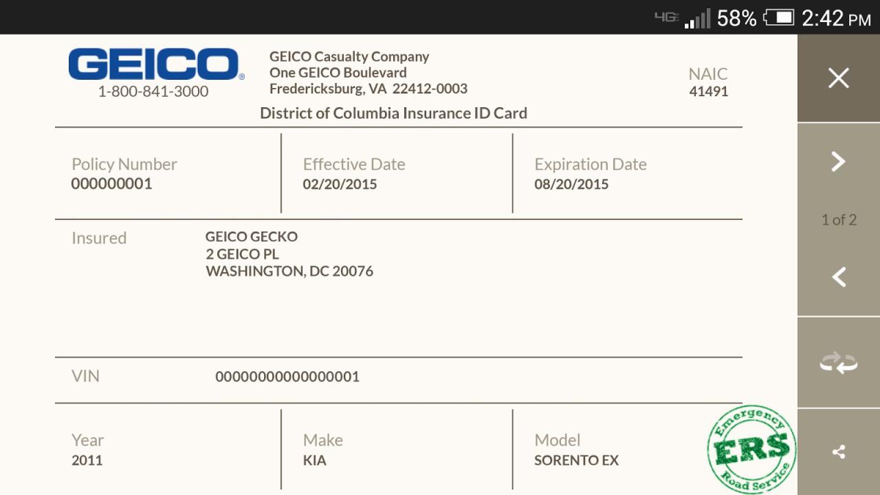 Geico Auto Insurance 2024