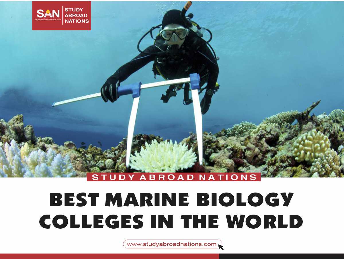 Marine Biology Colleges 2024