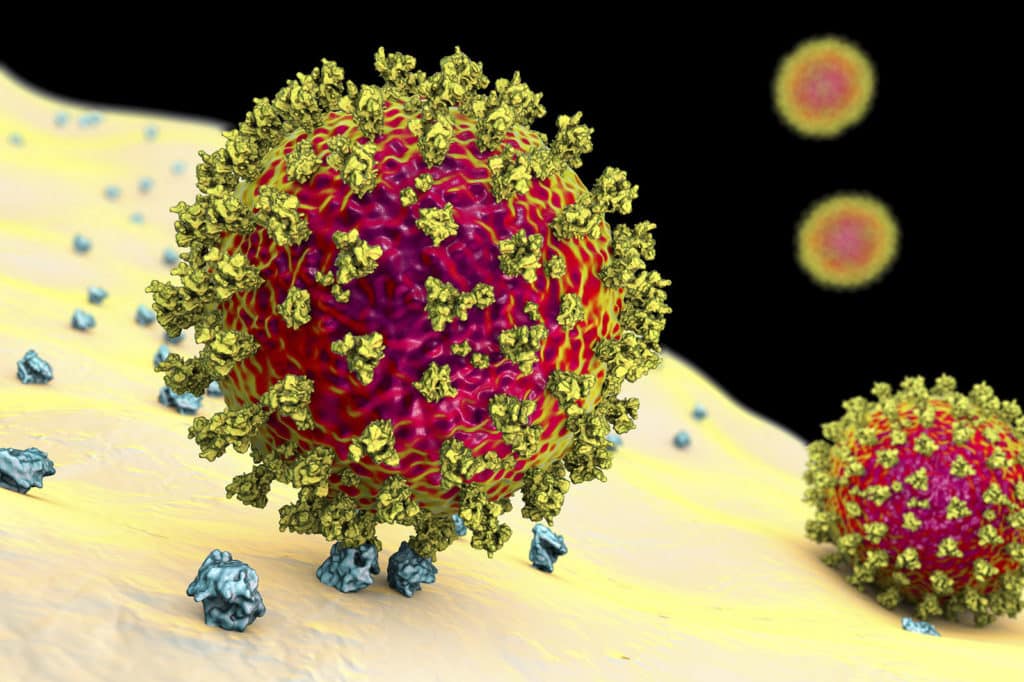 Is there a new Covid variant in October 2024?