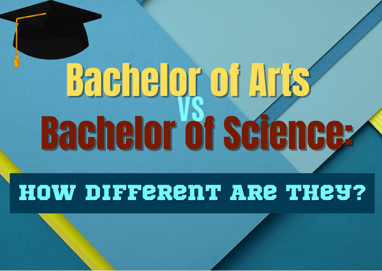 Bsw Degree 2024