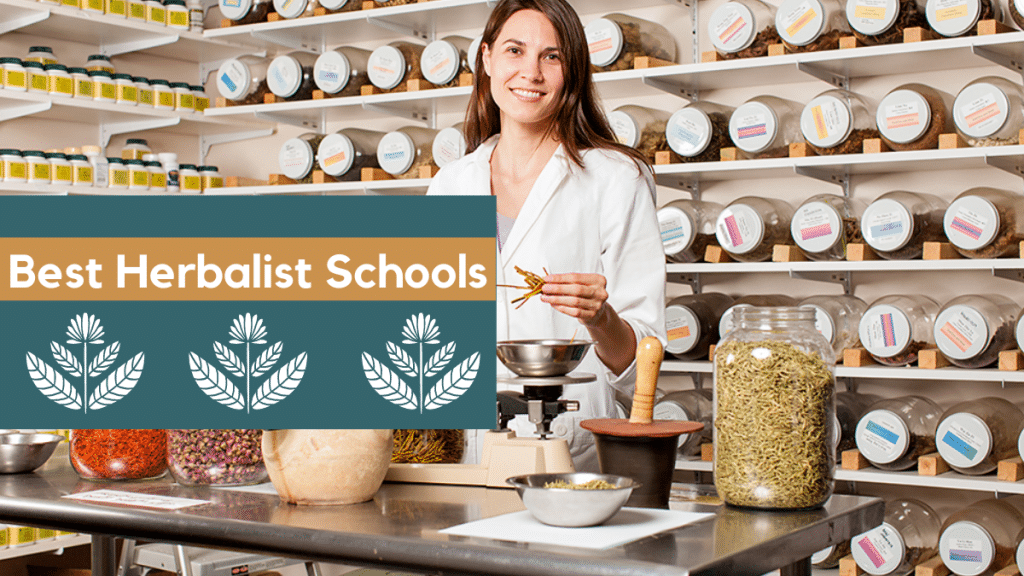 Herbalist Schools Near Me