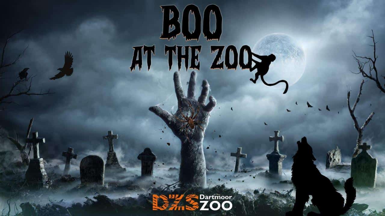 Boo At The Zoo October 2024