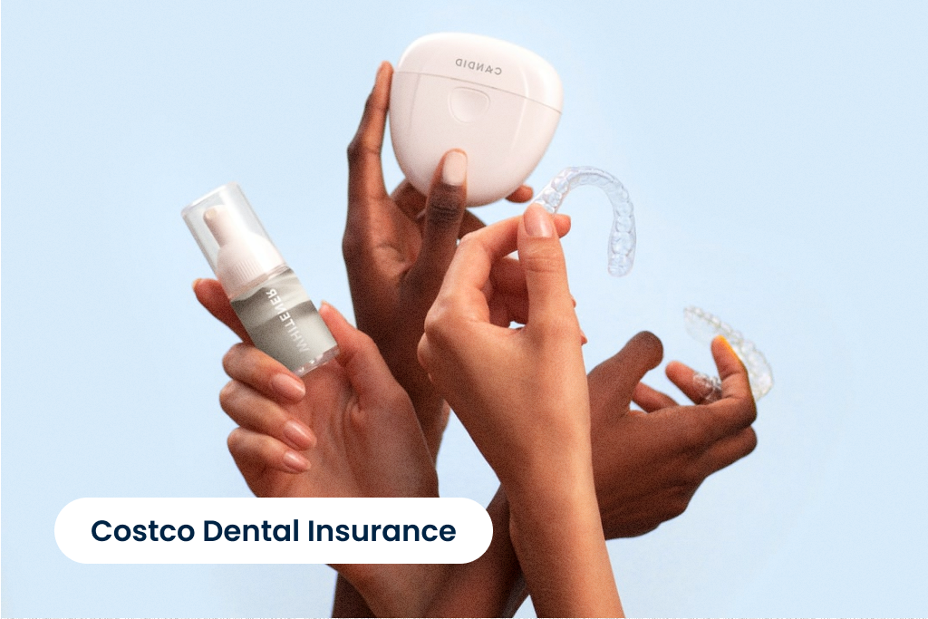 Costco Dental Insurance 2024