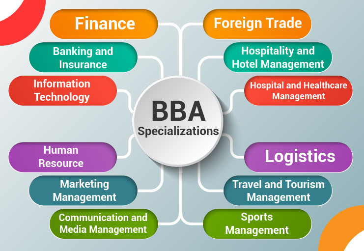 Bba Course 2024