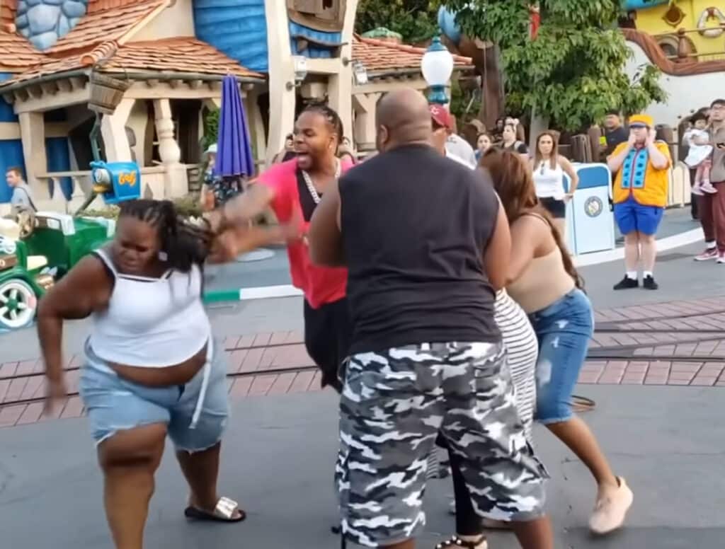 Disneyland Fight October 2024