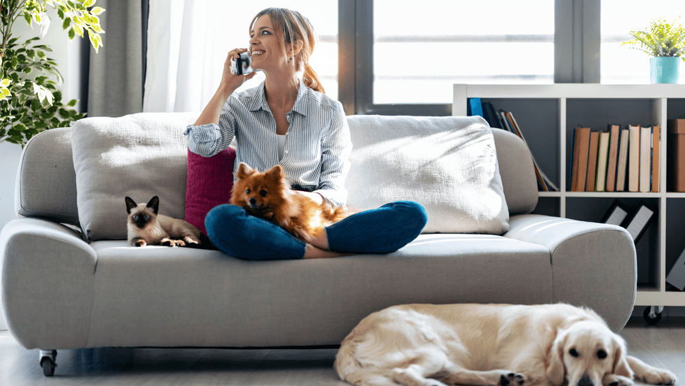 Apartment Near Me That Allow Dogs 2024