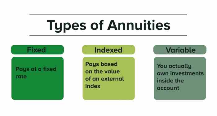 Variable Annuity Tax Deferred 2024