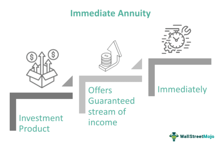 50000 Immediate Annuity