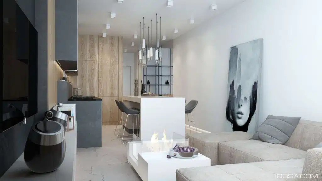 Small Apartment No Storage 2024