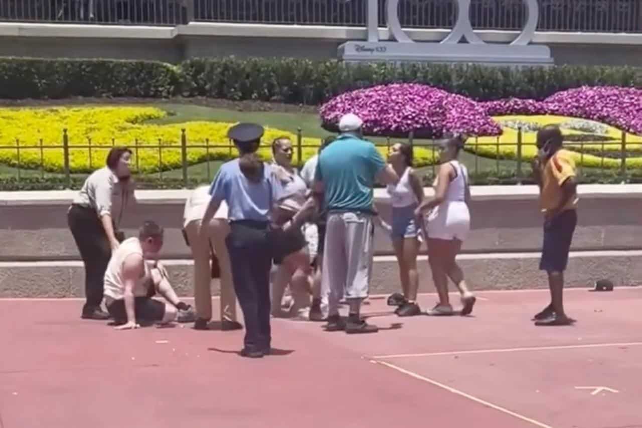 Disneyland Fight October 2024