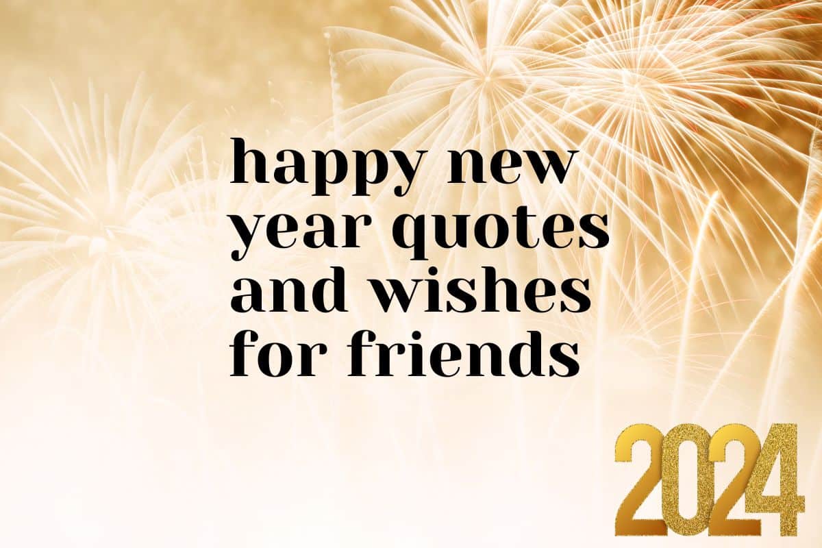 Driving Quotes 2024
