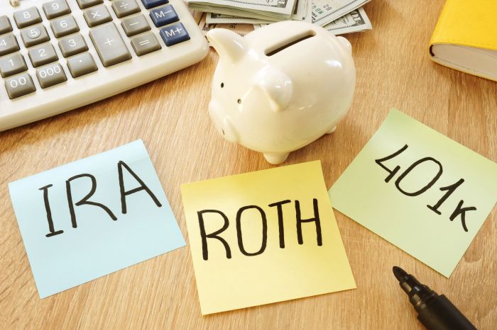 Roth Variable Annuity 2024