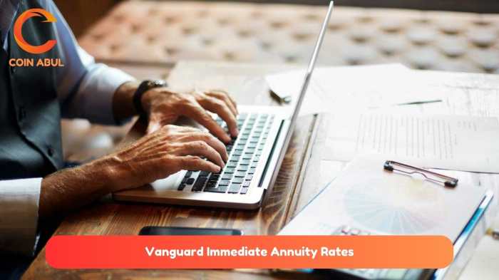 Vanguard Immediate Annuity