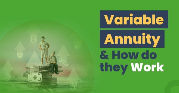 Variable Annuity Non Qualified Stretch 2024