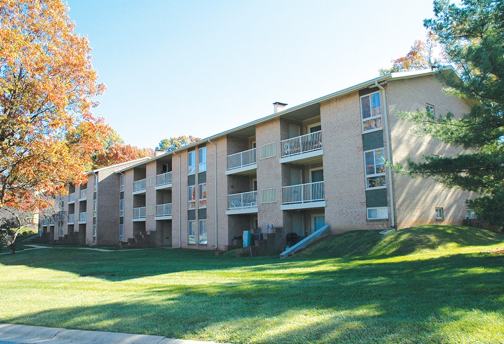 York U Apartments For Rent 2024