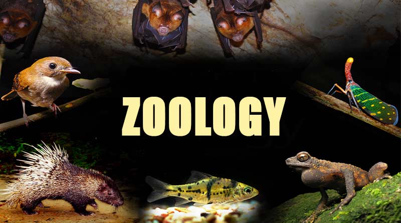 Zoologist Schools Near Me