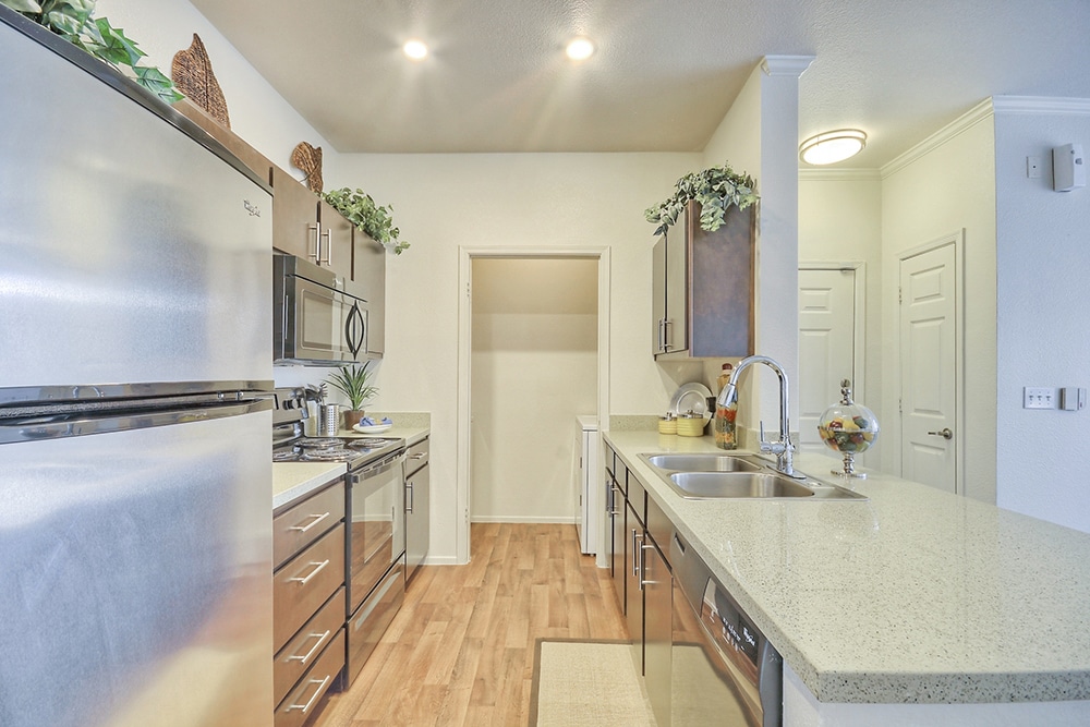 Apartments For Rent Under 1000 2024