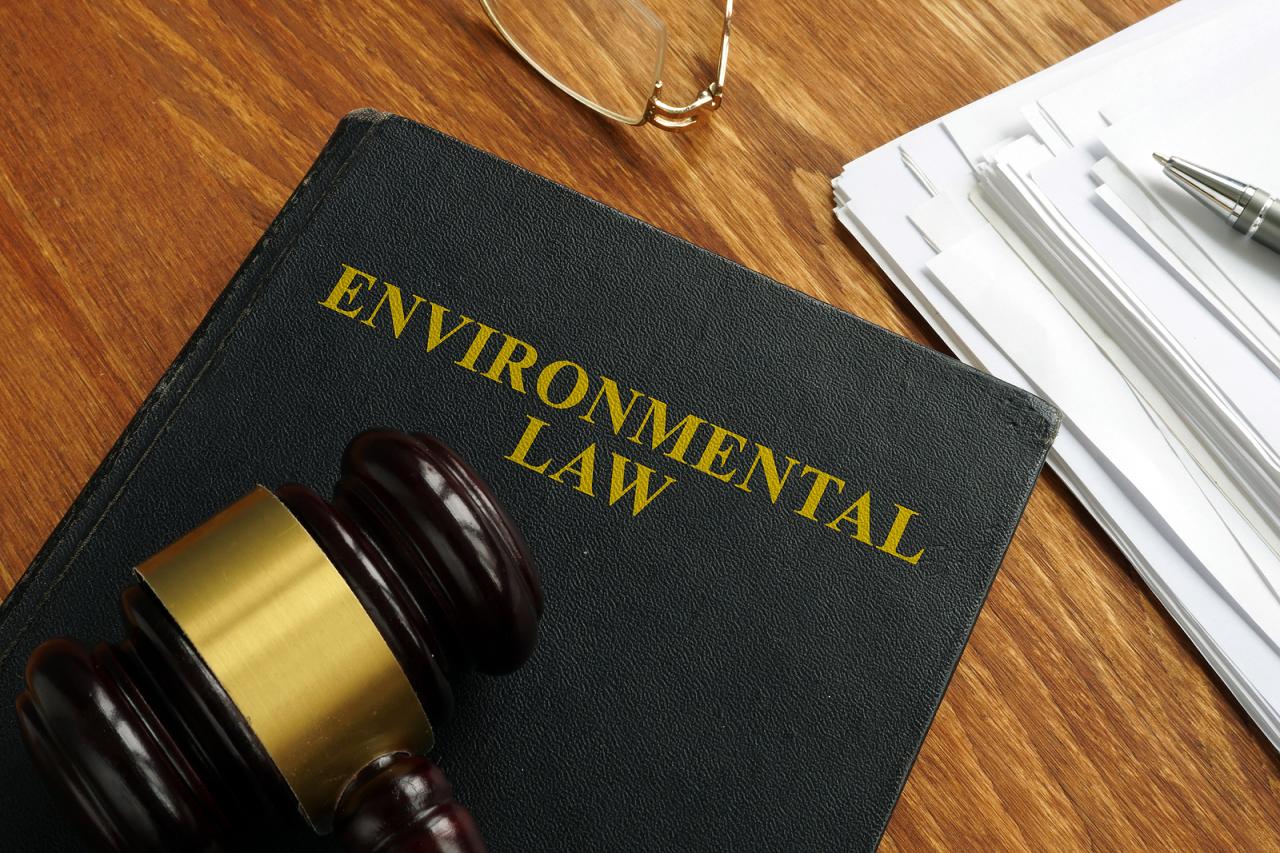 Environmental Lawyers