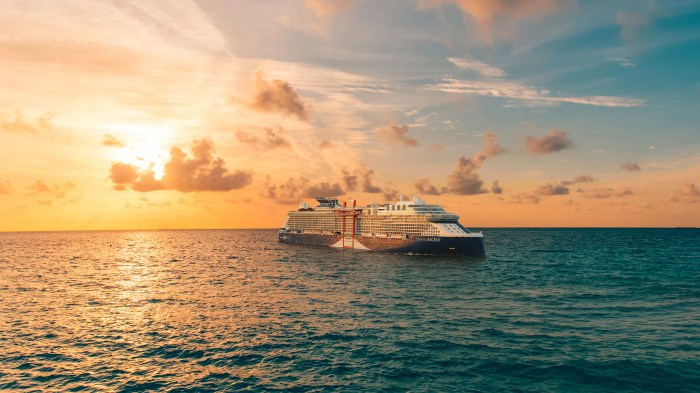 What are the common cruise insurance claims in October 2024