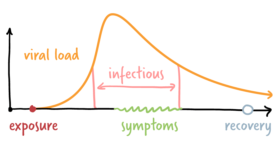 Covid Symptoms October 2024: Testing and Diagnosis