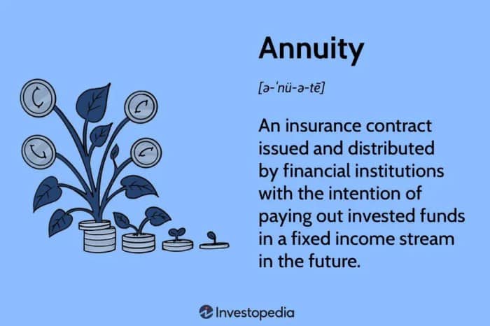 Variable Annuity Joint Life Living Benefit 2024