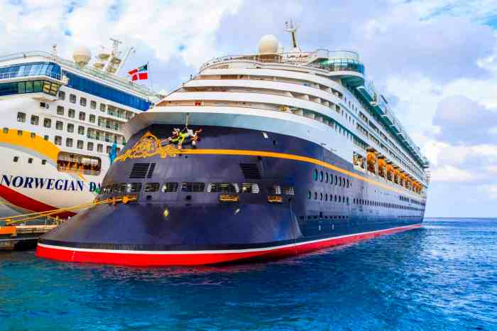 Cruise insurance October 2024: What to consider