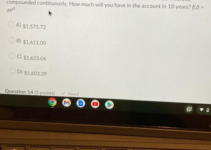 7 Year Immediate Annuity: Secure Income for a Set Period