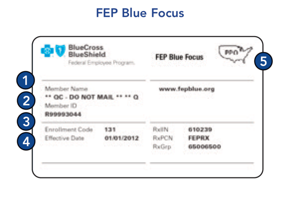 Blue Cross Blue Shield Fep 2024