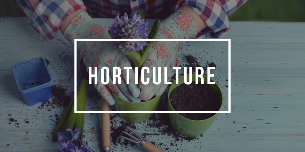 Horticulture Degree 2024