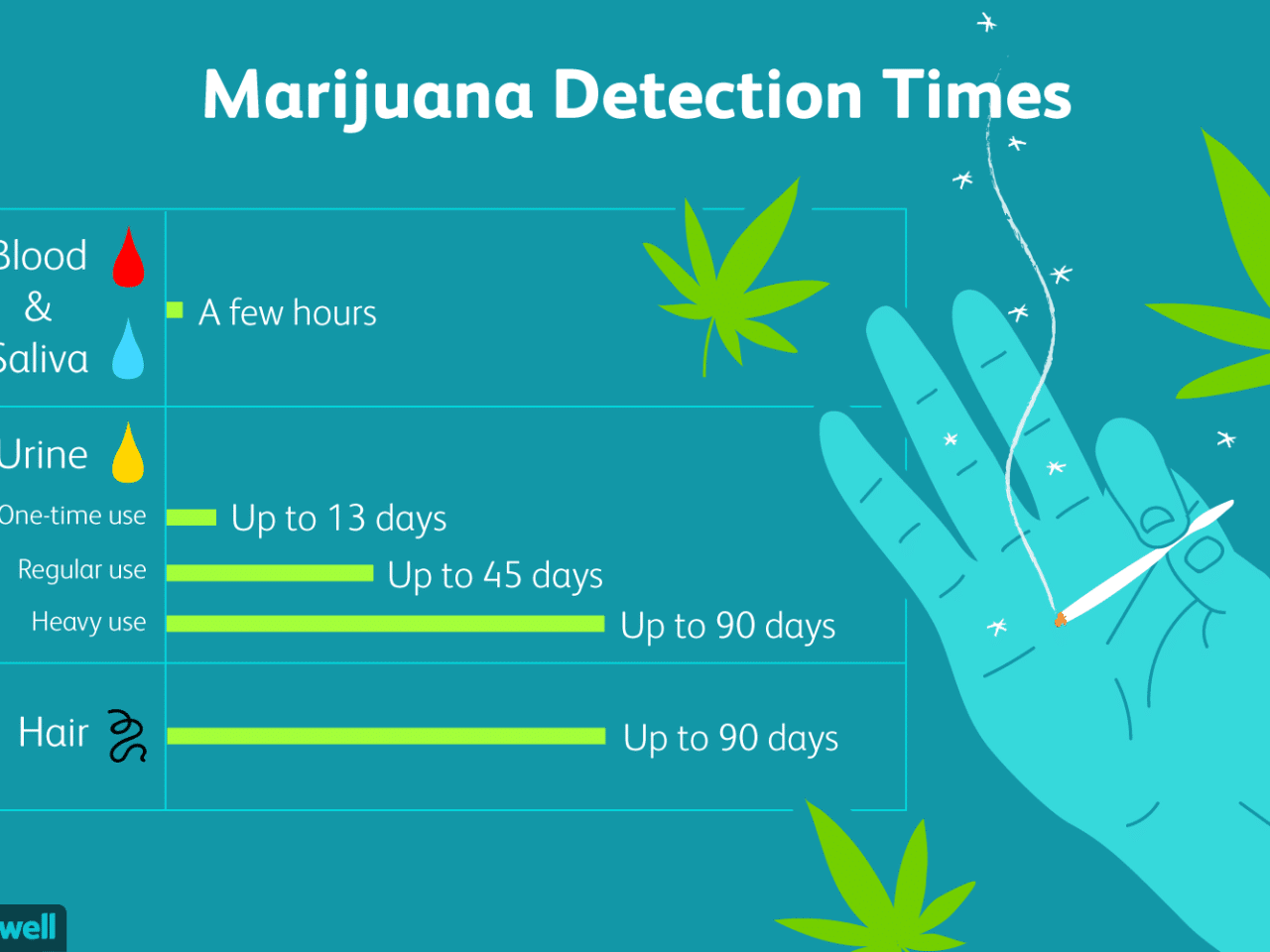 How long does THC stay in your urine for a drug test