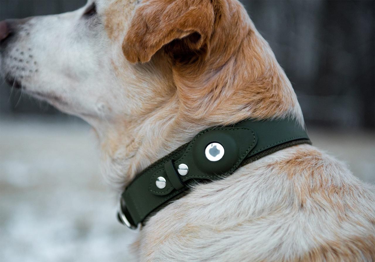 Airtag Android Hund 2024
