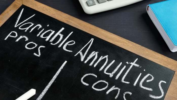 A Variable Annuity Has Which Of The Following Characteristics 2024
