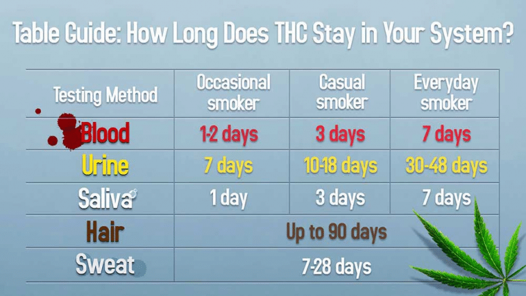 How long does marijuana stay in your system for a urine test