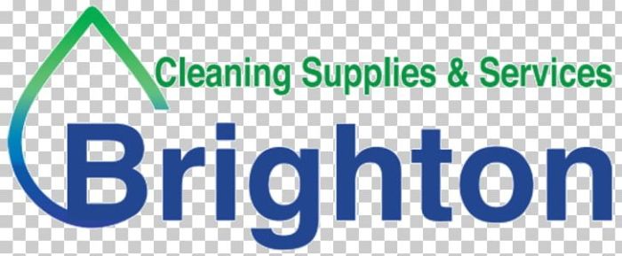 Brighthouse L Share Variable Annuity 2024