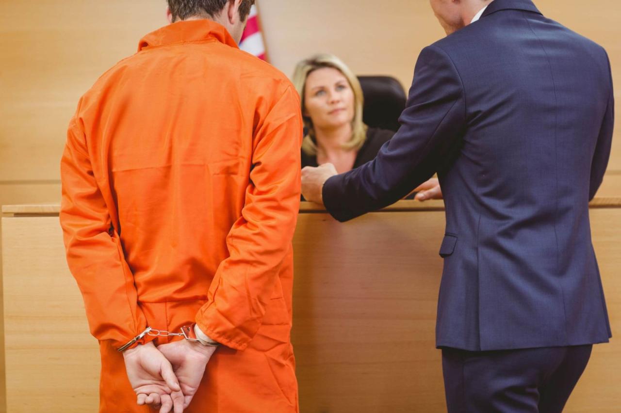 Jailhouse Lawyer