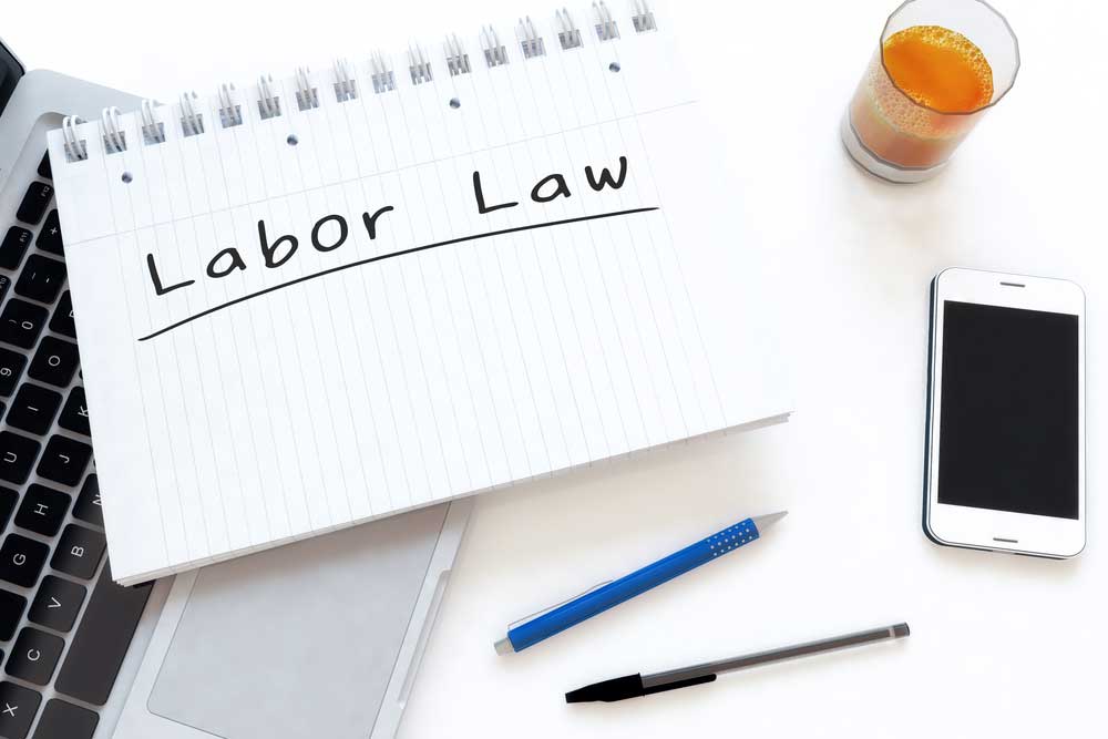 Labour Lawyer