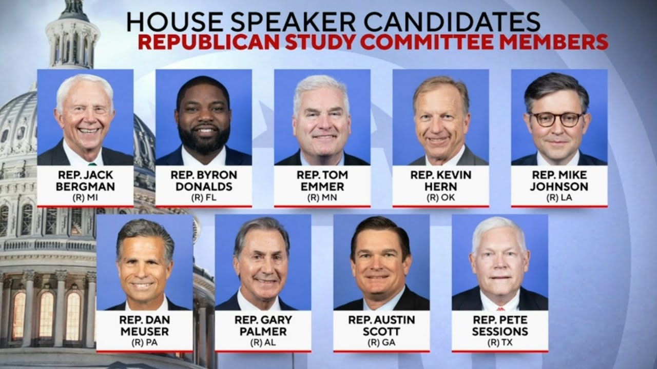 What are the potential candidates for Speaker of the House?