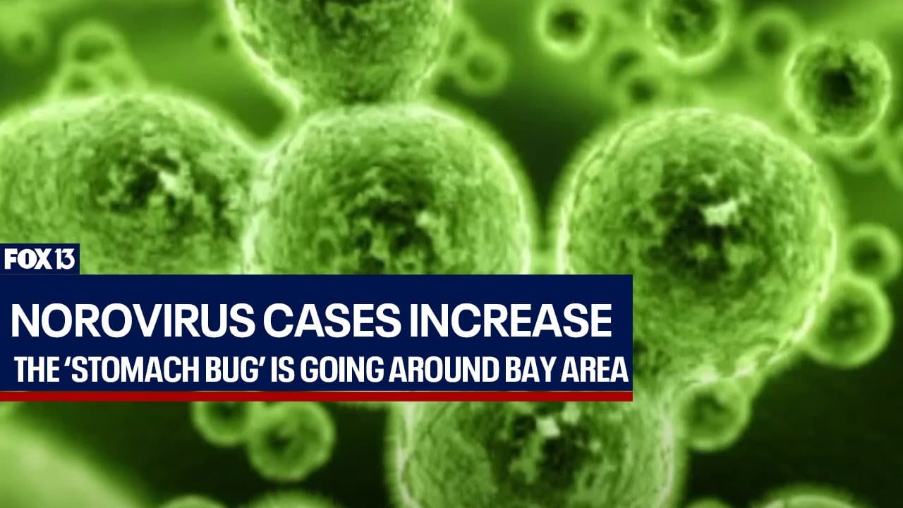 Stomach Bug Going Around October 2024