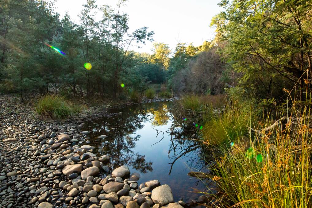 A Basin Opening Day October 2024 environmental impact
