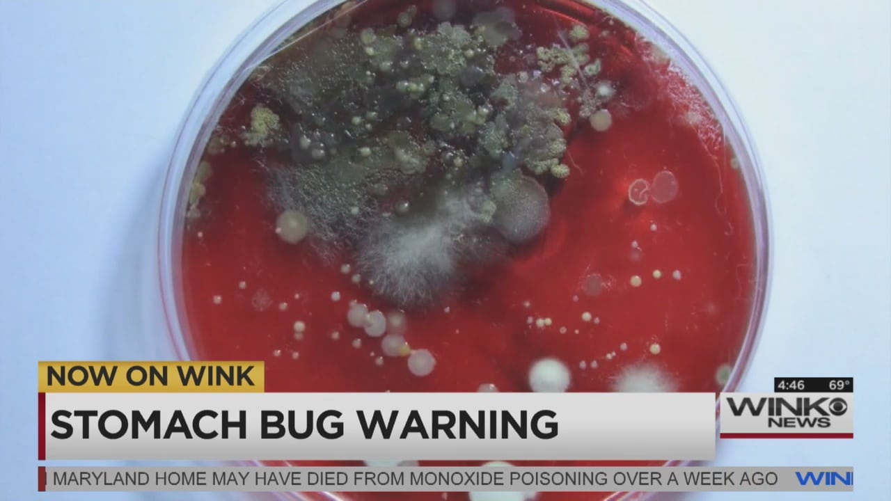 Stomach Bug Going Around October 2024