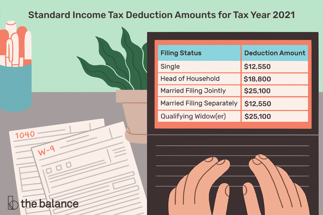 Standard deduction amount for 2024 tax year