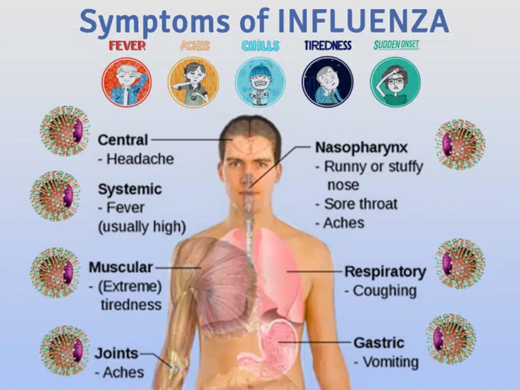 Flu Symptoms October 2024