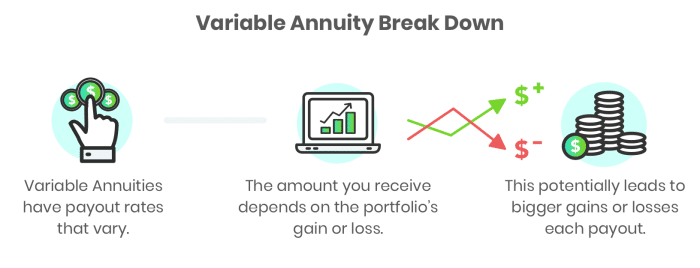 Variable Annuity Investment Options 2024